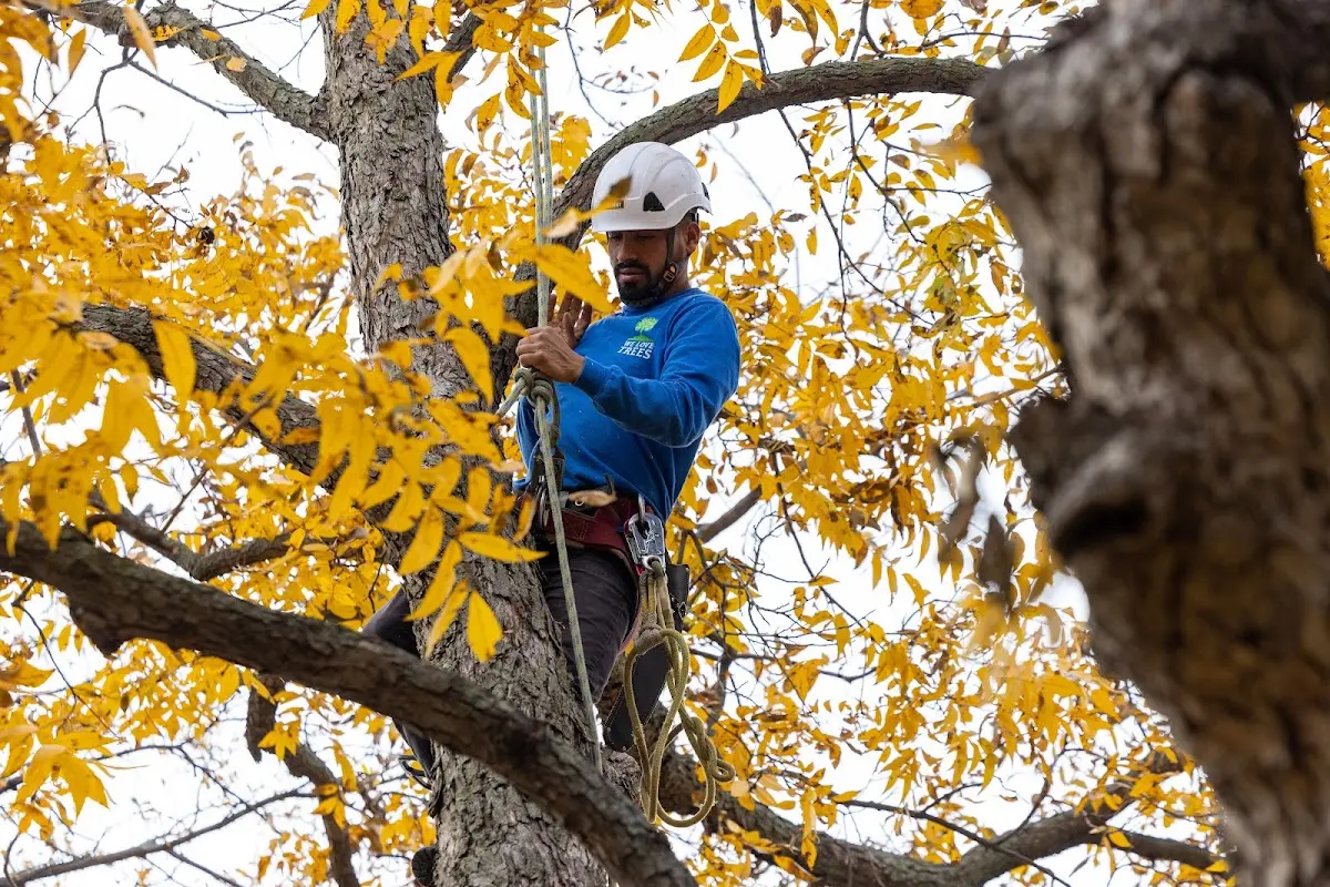 Skilled Storm Damage Cleanup crew working in Great Bend