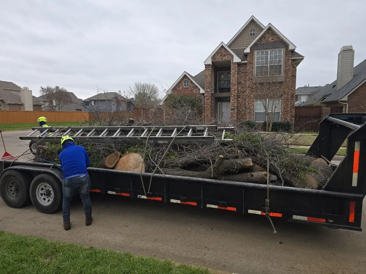 Expert Tree Removal with proper safety equipment in Great Bend